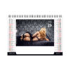 Calendrier publicitaire chevalet de bureau 7 feuillets DESSOUS CHICS