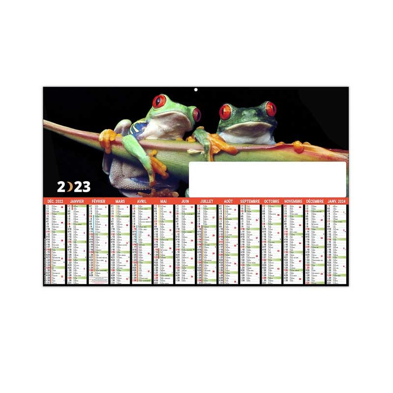 Calendrier personnalisé planning carton 13 mois grenouilles