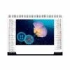 Calendrier publicitaire chevalet de bureau standard l'année des méduses, avec 7 feuillets, année 2024, photographies de jolies méduse marine. mois de janvier et février 2024