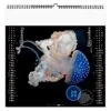 Calendrier publicitaire illustre de 7 feuillets l'année des méduses 2024 avec des photographies de méduses dans les fonds marins, novembre, décembre.