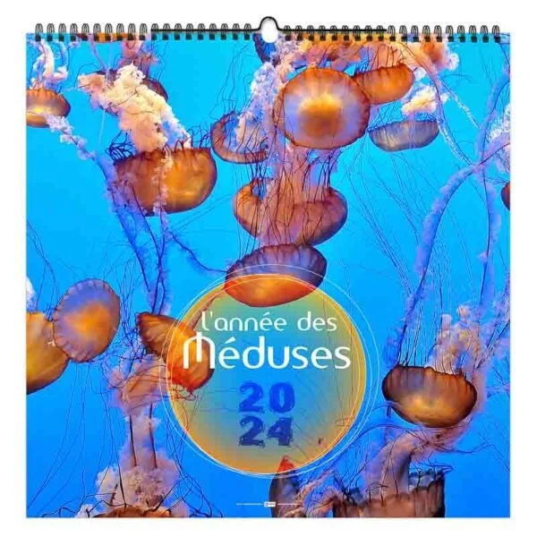 Calendrier publicitaire illustre de 7 feuillets l'année des méduses 2024 avec des photographies de méduses dans les fonds marins, page de garde