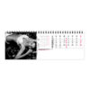 Calendrier chevalet publicitaire 13 feuillets MAXI LINGERIE
