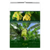 Calendrier publicitaire illustré 7 feuilles MAYOTTE