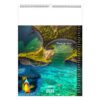 Calendrier publicitaire illustré 13 feuilles MAYOTTE