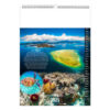 Calendrier publicitaire illustré 13 feuilles MAYOTTE