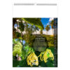 Calendrier publicitaire illustré 13 feuilles MAYOTTE
