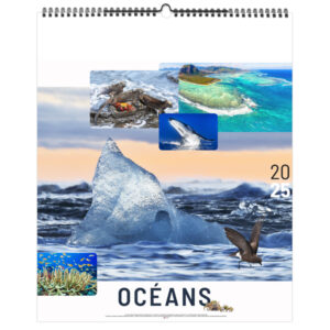 Calendrier publicitaire mural 7 feuillets OCÉANS